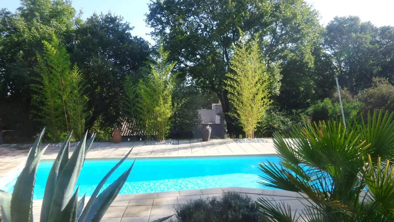 Studio Les Terrasses location